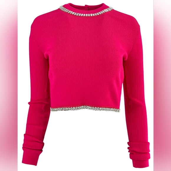 Nwt s XS $985 Paco Rabanne Pink Embellished Top, I have a matching slip dress - Picture 1 of 6